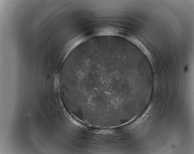 X0000100851337200806271127