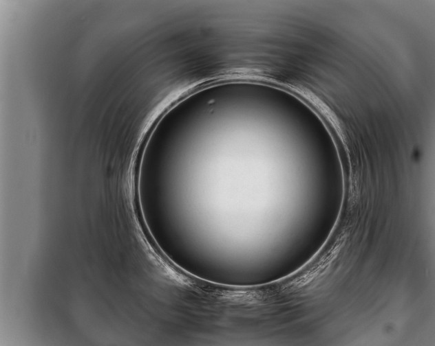 X0000100851341200806271127