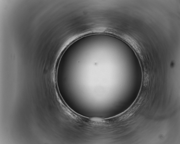 X0000100851342200806271127