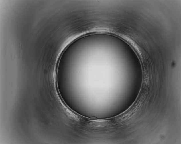 X0000100851343200806271127