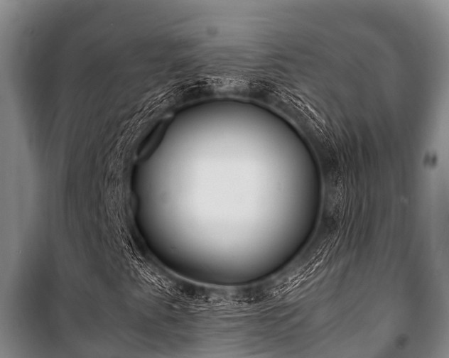 X0000100851345200806271126