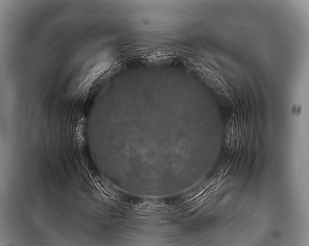 X0000100851346200806271126