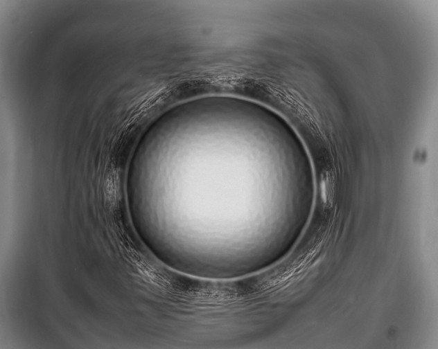 X0000100851347200806271126