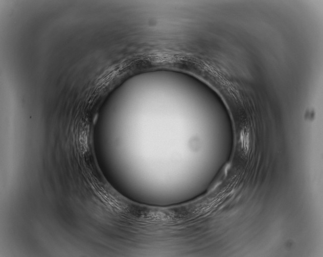 X0000100851348200806271126