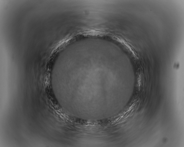 X0000100851350200806271126