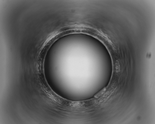 X0000100851352200806271126