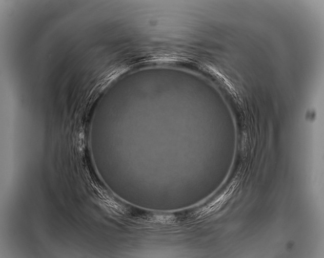X0000100851353200806271126