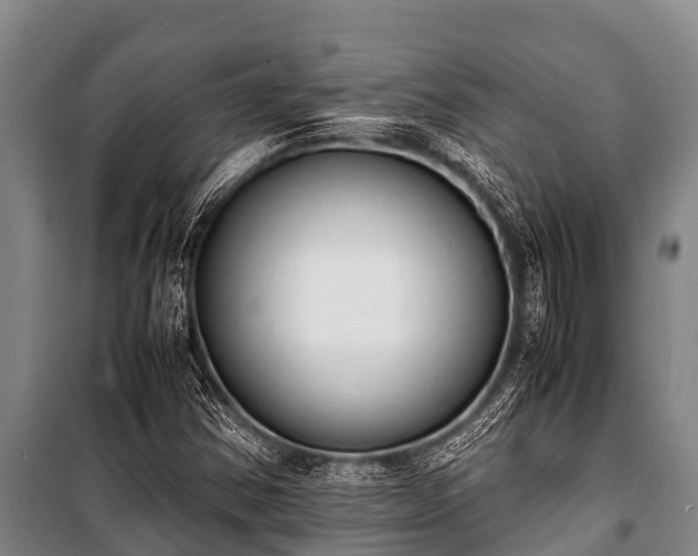 X0000100851354200806271126