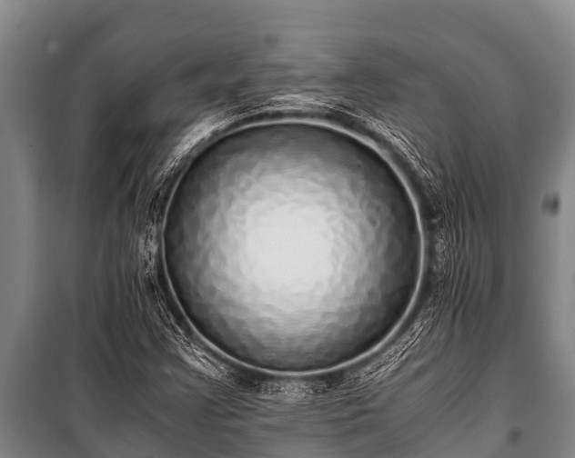 X0000100851355200806271126