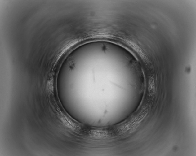 X0000100851356200806271126