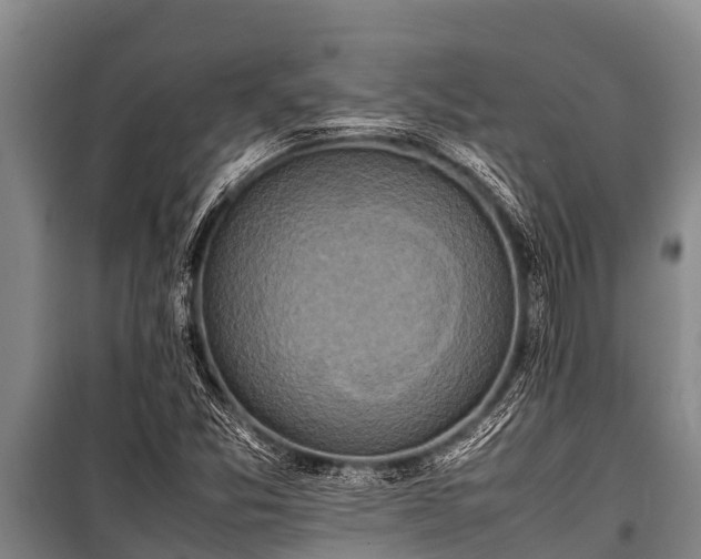 X0000100851357200806271126