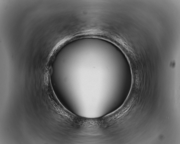 X0000100851358200806271126