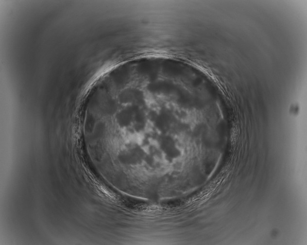 X0000100851359200806271126