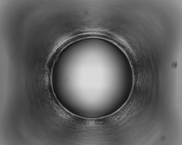 X0000100851360200806271126