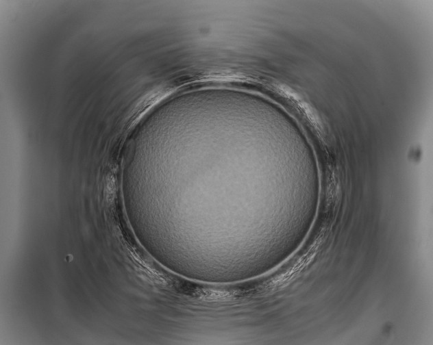 X0000100851361200806271126