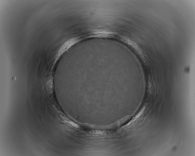 X0000100851362200806271126