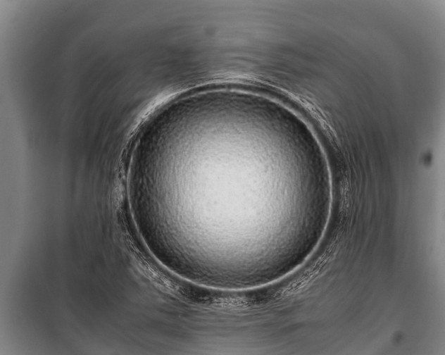 X0000100851363200806271126