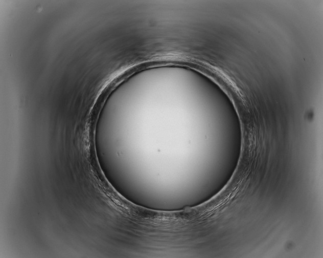 X0000100851364200806271126