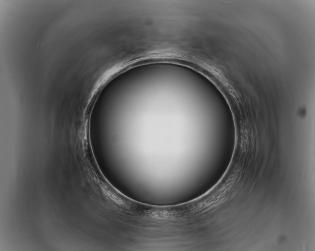 X0000100851366200806271126