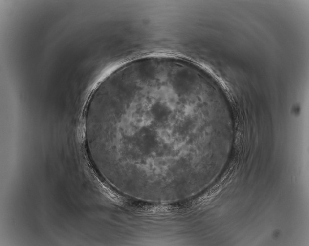 X0000100851367200806271126