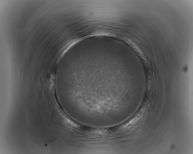 X0000100851369200806271126