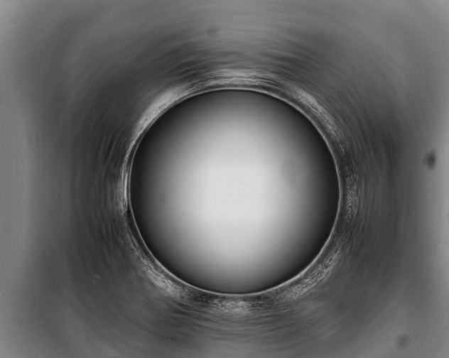 X0000100851370200806271126