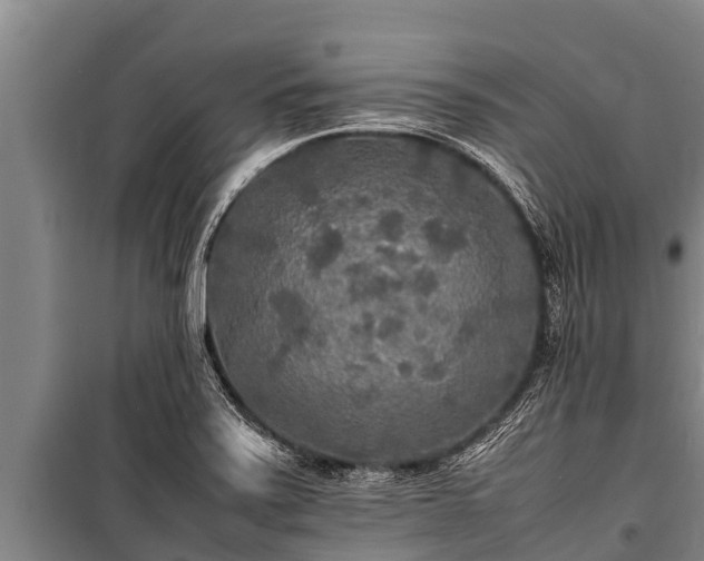 X0000100851371200806271126