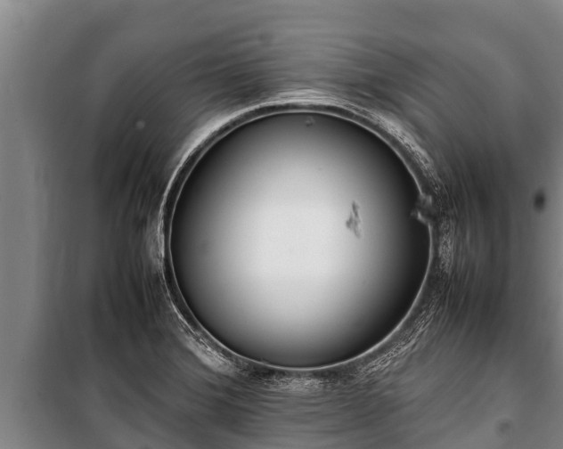 X0000100851372200806271126