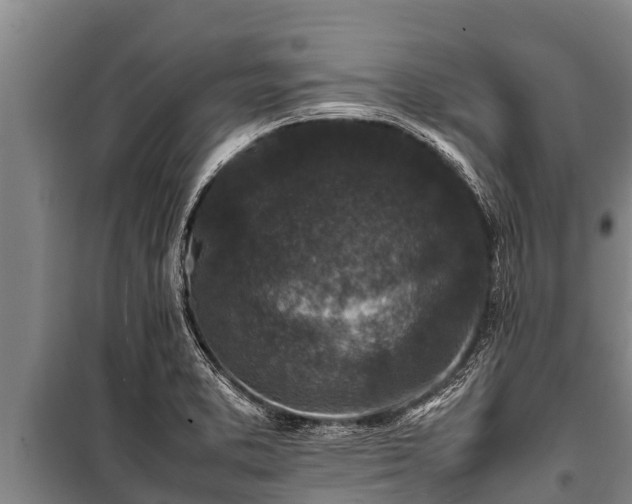 X0000100851373200806271126