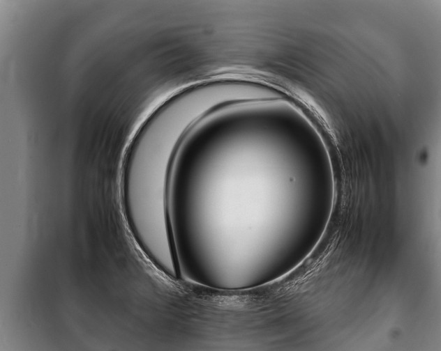 X0000100851376200806271126