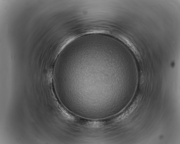 X0000100851377200806271126