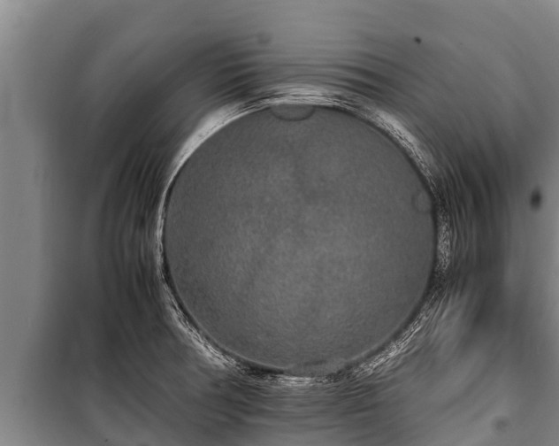 X0000100851378200806271126