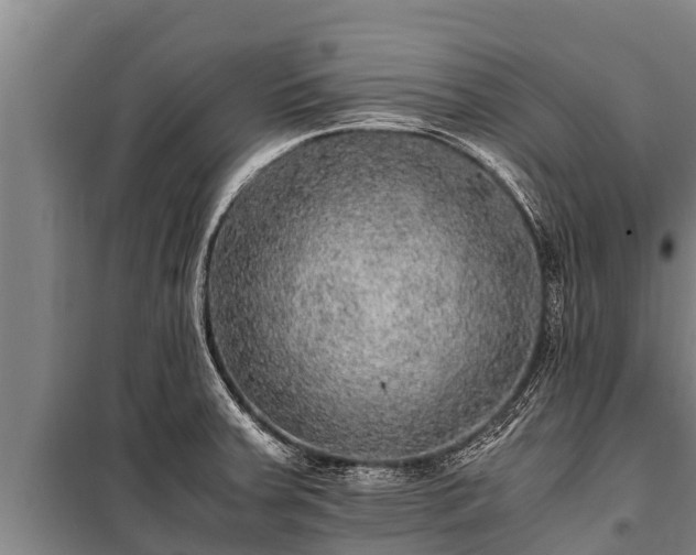 X0000100851379200806271126