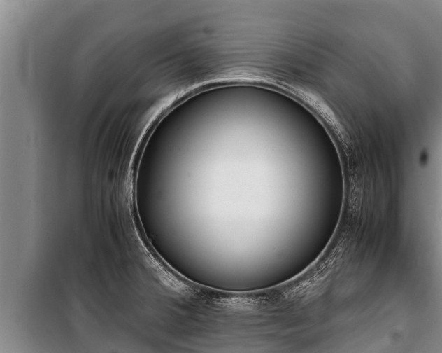 X0000100851380200806271126