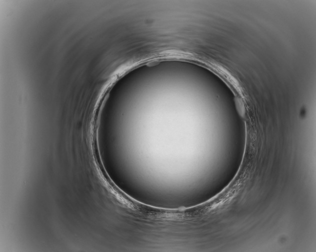 X0000100851381200806271126