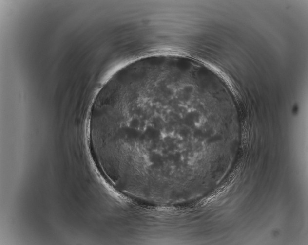 X0000100851383200806271126