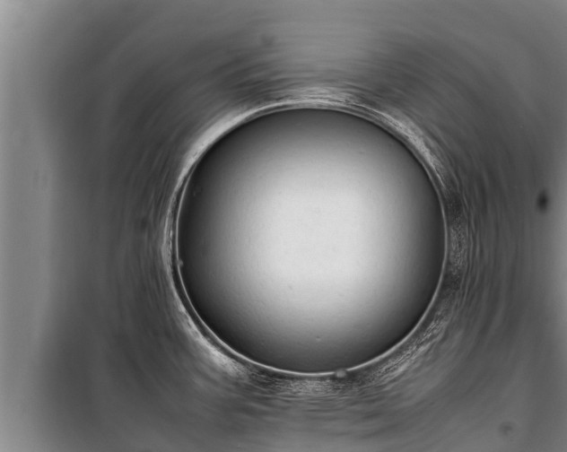 X0000100851387200806271126