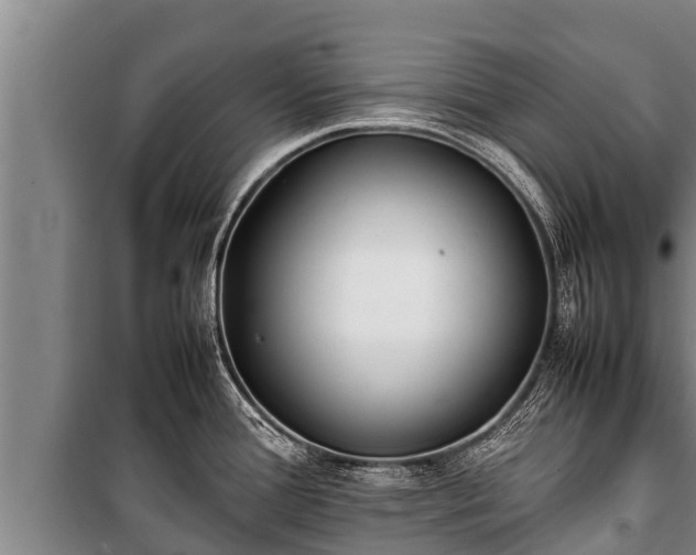X0000100851388200806271126