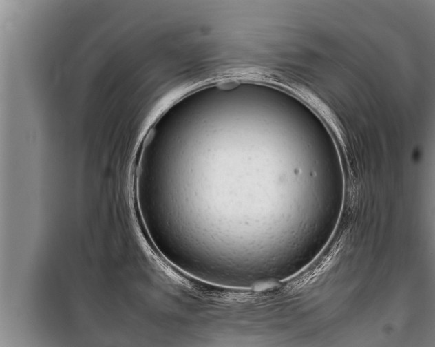 X0000100851389200806271126