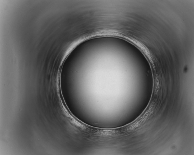 X0000100851390200806271126