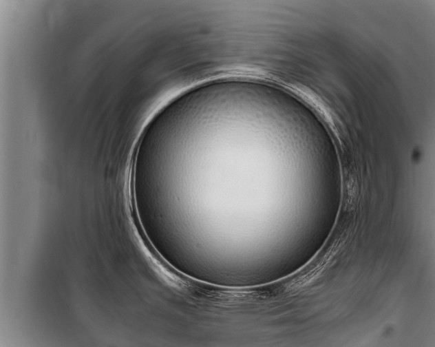 X0000100851391200806271126