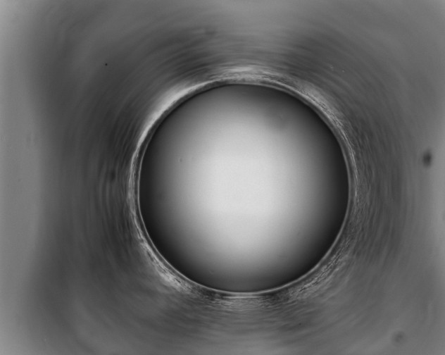 X0000100851392200806271126