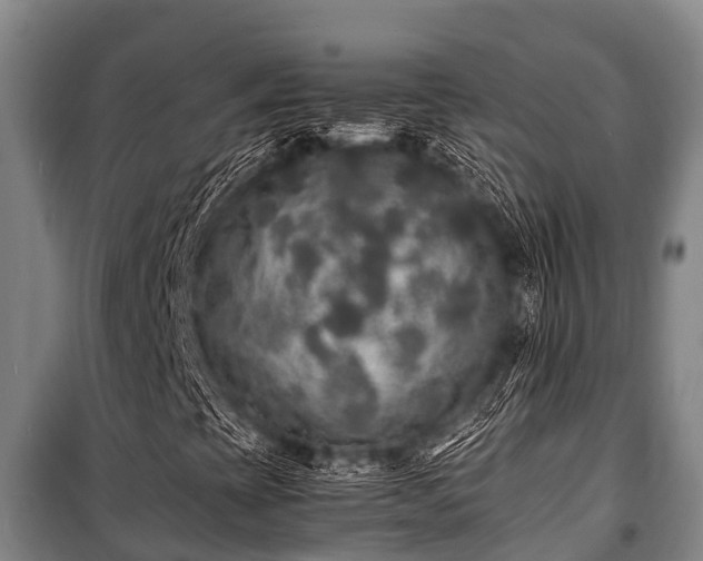 X0000100851393200806271125