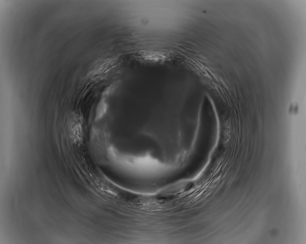 X0000100851394200806271125