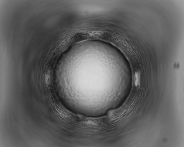 X0000100851395200806271125