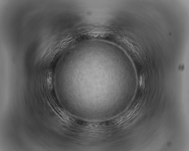 X0000100851396200806271125