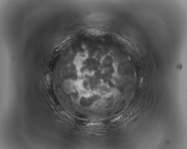 X0000100851397200806271125
