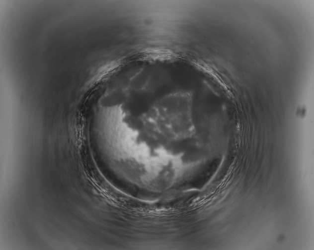 X0000100851399200806271125