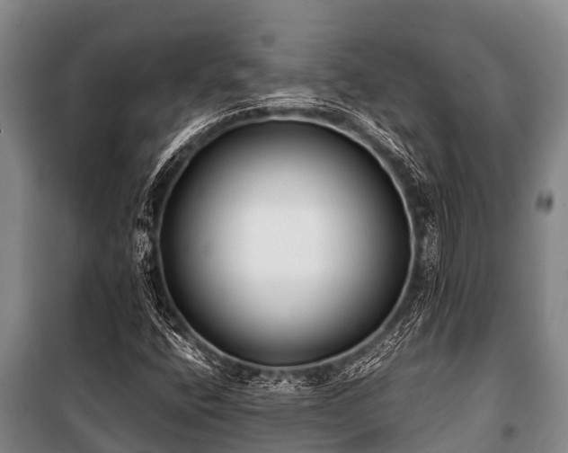 X0000100851400200806271125