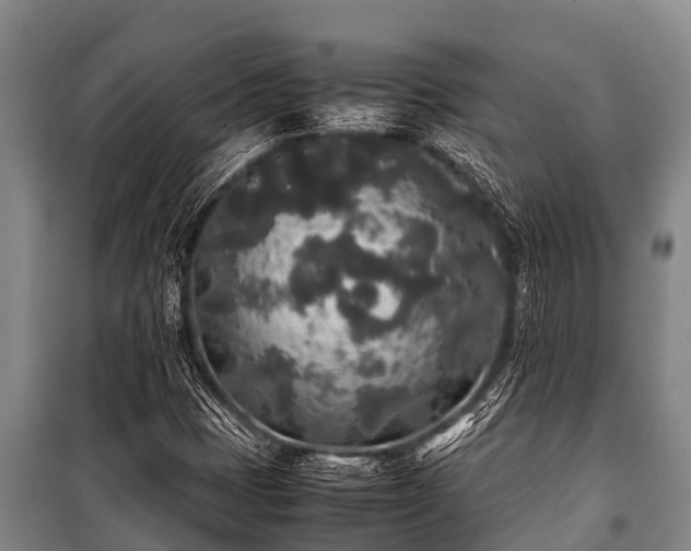 X0000100851401200806271125